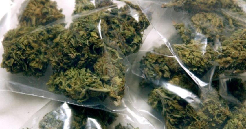 Weed Bags Sizes and Measurement System You Should Know About In 2019 - Cannabis Legale