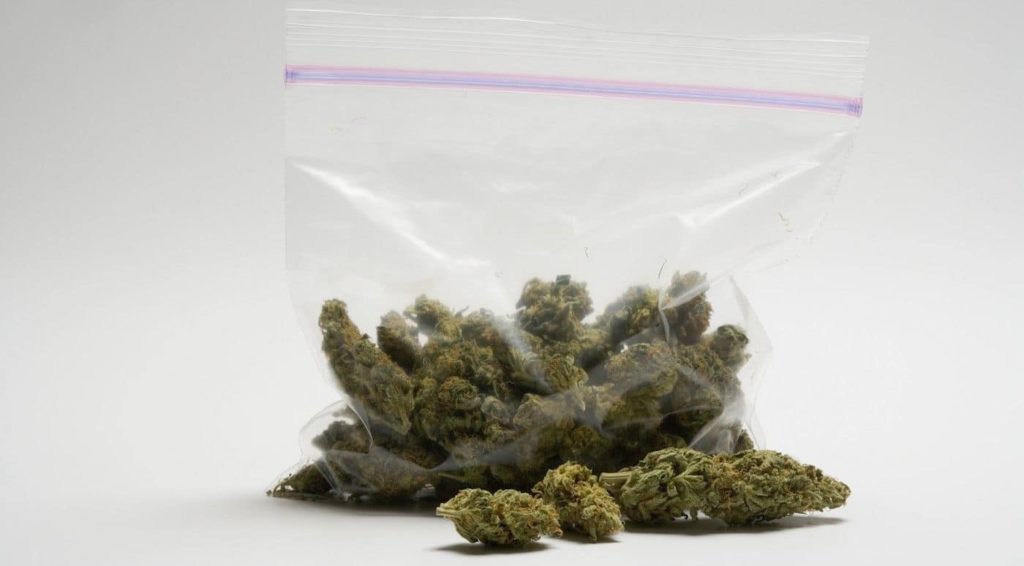 Weed Bags Sizes and Measurement System You Should Know About In 2019 - Cannabis Legale