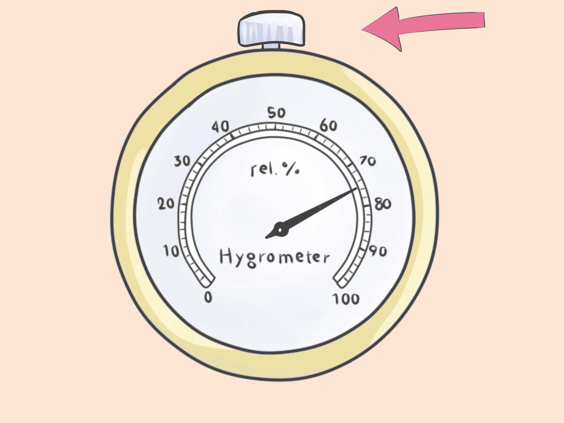 5 Best Hygrometers For Grow Room in 2024 - Cannabis Legale