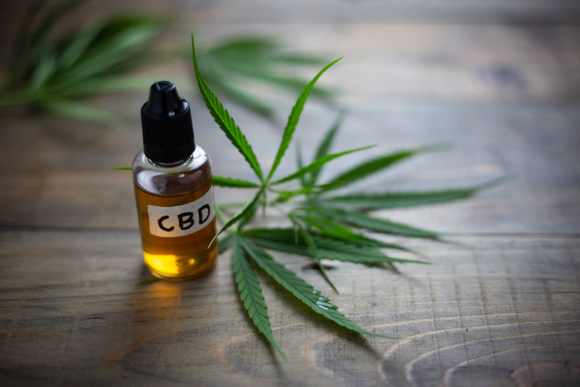 Can CBD Oil Be Detected in a Blood Test - 2023 Tips - Cannabis Legale