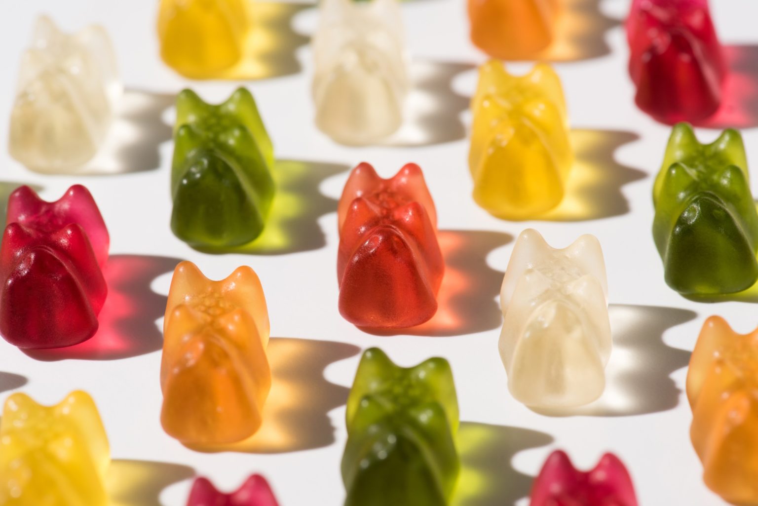 CBD-gummy-bears-1536x1025.jpg