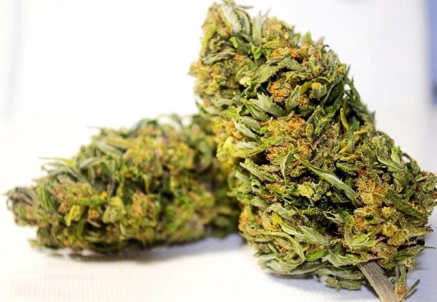 8 of the Top Smokeable Hemp Flower Strains Cannabis Legale