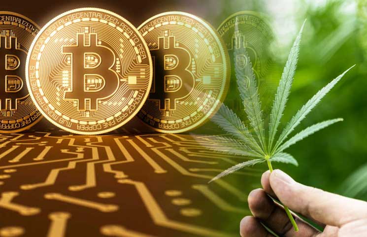 buy cbd with crypto