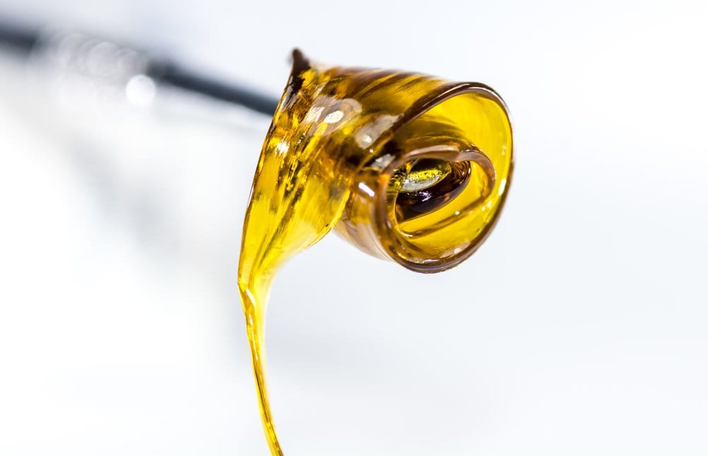 HOW TO UNDERSTAND CBD CONCENTRATES - Cbd|Concentrates|Products|Concentrate|Hemp|Shatter|Wax|Isolate|Product|Thc|Terpenes|Oil|Effects|Cannabis|Cannabinoids|Spectrum|Plant|Form|Way|Pure|Extract|Powder|Crystals|Dab|Process|Extraction|Flower|People|Benefits|Vape|Body|Experience|Resin|Quality|Waxes|Health|Time|Potency|Amount|Forms|Cbd Concentrates|Cbd Concentrate|Cbd Wax|Cbd Shatter|Cbd Products|Cbd Isolate|Dab Rig|Cannabis Plant|Live Resin|Hemp Plant|Cbd Waxes|Free Shipping|Cbd Oil|Cbd Crystals|Tweedle Farms|Cbd Dabs|Full Spectrum Cbd|Dab Pen|Extraction Process|Daily Basis|Cbd Isolates|Entourage Effect|Scientific Hemp Oil®|Blue Moon Hemp|Cbd Oil Solutions|Pure Cbd Isolate|Pure Cbd|Small Amount|United States|Cbd Flower